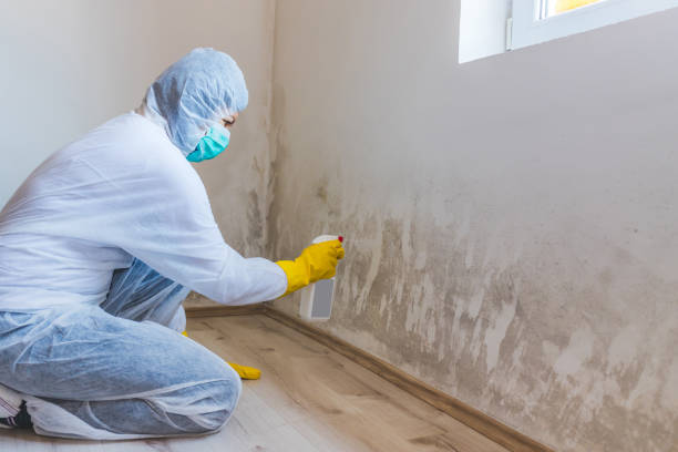 Hvac And Air Duct Mold Remediation inspection of HVAC system in Fulton